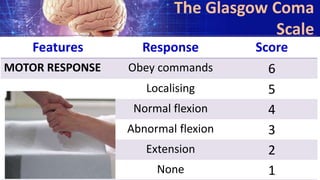 Features Response Score
MOTOR RESPONSE Obey commands 6
Localising 5
Normal flexion 4
Abnormal flexion 3
Extension 2
None 1
The Glasgow Coma
Scale
 