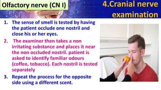 Olfactory nerve (CN I)
1. The sense of smell is tested by having
the patient occlude one nostril and
close his or her eyes.
2. The examiner then takes a non
irritating substance and places it near
the non occluded nostril. patient is
asked to identify familiar odours
(coffee, tobacco). Each nostril is tested
separately
3. Repeat the process for the opposite
side using a different scent.
4.Cranial nerve
examination
 