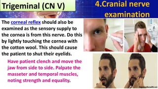 The corneal reflex should also be
examined as the sensory supply to
the cornea is from this nerve. Do this
by lightly touching the cornea with
the cotton wool. This should cause
the patient to shut their eyelids.
Have patient clench and move the
jaw from side to side. Palpate the
masseter and temporal muscles,
noting strength and equality.
Trigeminal (CN V) 4.Cranial nerve
examination
 