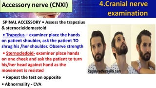 SPINAL ACCESSORY • Assess the trapezius
& sternocleidomastoid
• Trapezius – examiner place the hands
on patient shoulder, ask the patient TO
shrug his /her shoulder. Observe strength
• Sternocledoid- examiner place hands
on one cheek and ask the patient to turn
his/her head against hand as the
movement is resisted
• Repeat the test on opposite
• Abnormality - CVA
4.Cranial nerve
examination
Accessory nerve (CNXI)
 