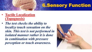 • Tactile Localization
(Topognosis)
• The test checks the ability to
localize touch sensation on the
skin. This test is not performed in
isolated manner rather it is done
in combination with pressure
perception or touch awareness.
6.Sensory Function
 