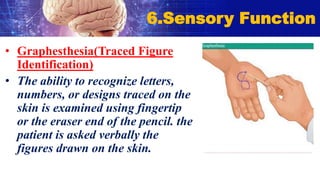 • Graphesthesia(Traced Figure
Identification)
• The ability to recognize letters,
numbers, or designs traced on the
skin is examined using fingertip
or the eraser end of the pencil. the
patient is asked verbally the
figures drawn on the skin.
6.Sensory Function
 