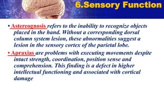 • Astereognosis refers to the inability to recognize objects
placed in the hand. Without a corresponding dorsal
column system lesion, these abnormalities suggest a
lesion in the sensory cortex of the parietal lobe.
• Apraxias are problems with executing movements despite
intact strength, coordination, position sense and
comprehension. This finding is a defect in higher
intellectual functioning and associated with cortical
damage
6.Sensory Function
 