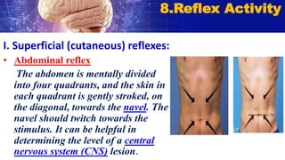 I. Superficial (cutaneous) reflexes:
• Abdominal reflex
The abdomen is mentally divided
into four quadrants, and the skin in
each quadrant is gently stroked, on
the diagonal, towards the navel. The
navel should twitch towards the
stimulus. It can be helpful in
determining the level of a central
nervous system (CNS) lesion.
8.Reflex Activity
 