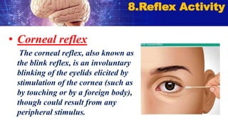 • Corneal reflex
The corneal reflex, also known as
the blink reflex, is an involuntary
blinking of the eyelids elicited by
stimulation of the cornea (such as
by touching or by a foreign body),
though could result from any
peripheral stimulus.
8.Reflex Activity
 