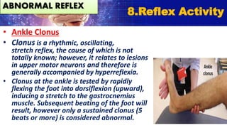 • Ankle Clonus
• Clonus is a rhythmic, oscillating,
stretch reflex, the cause of which is not
totally known; however, it relates to lesions
in upper motor neurons and therefore is
generally accompanied by hyperreflexia.
• Clonus at the ankle is tested by rapidly
flexing the foot into dorsiflexion (upward),
inducing a stretch to the gastrocnemius
muscle. Subsequent beating of the foot will
result, however only a sustained clonus (5
beats or more) is considered abnormal.
8.Reflex Activity
ABNORMAL REFLEX
 