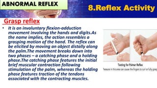 Grasp reflex
• It is an involuntary flexion-adduction
movement involving the hands and digits.As
the name implies, the action resembles a
grasping motion of the hand. The reflex can
be elicited by moving an object distally along
the palm.The movement breaks down into
two phases – a catching phase and a holding
phase.The catching phase features the initial
brief muscular contraction following
stimulation of the palm, whereas the holding
phase features traction of the tendons
associated with the contracting muscles.
8.Reflex Activity
ABNORMAL REFLEX
 