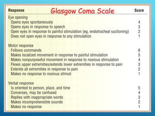 NEUROLOGICAL examination.ppt