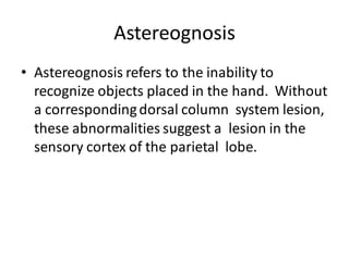 Astereognosis
• Astereognosis refers to the inability to
recognize objects placed in the hand. Without
a correspondingdorsal column system lesion,
these abnormalities suggest a lesion in the
sensory cortex of the parietal lobe.
 
