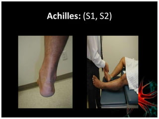 Achilles: (S1, S2)
 