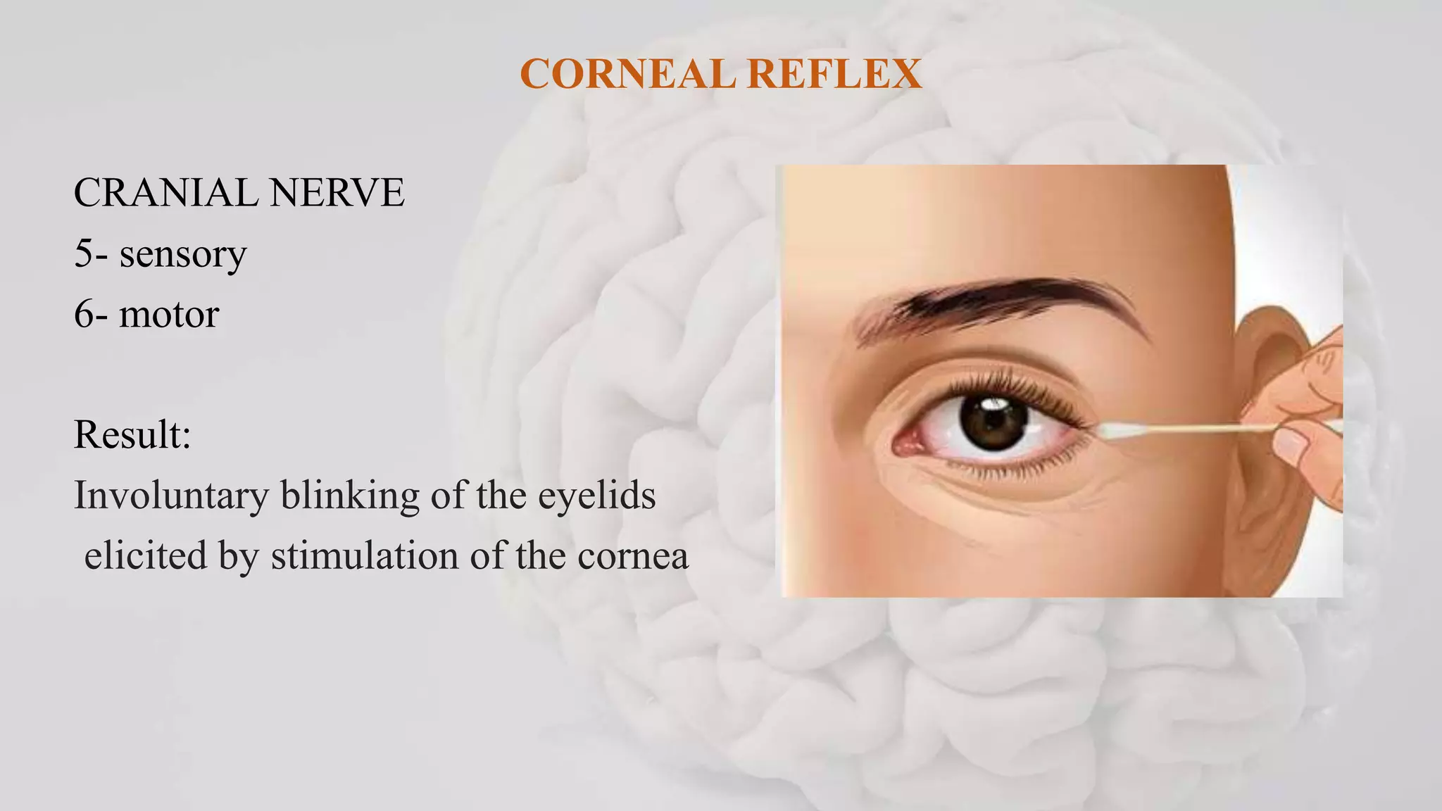 NEUROLOGICAL EXAMINATION.pptx