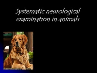 Systematic neurological
examination in animals
 