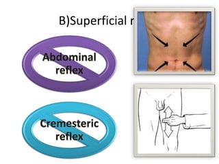 NEUROLOGICAL EXAMINATIONS | PPTX