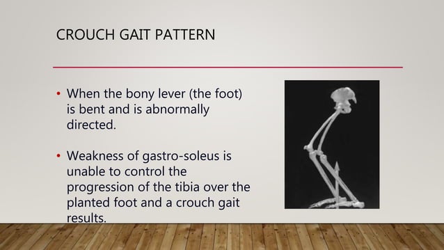 Neurological Gait Rehabilitation | PPTX