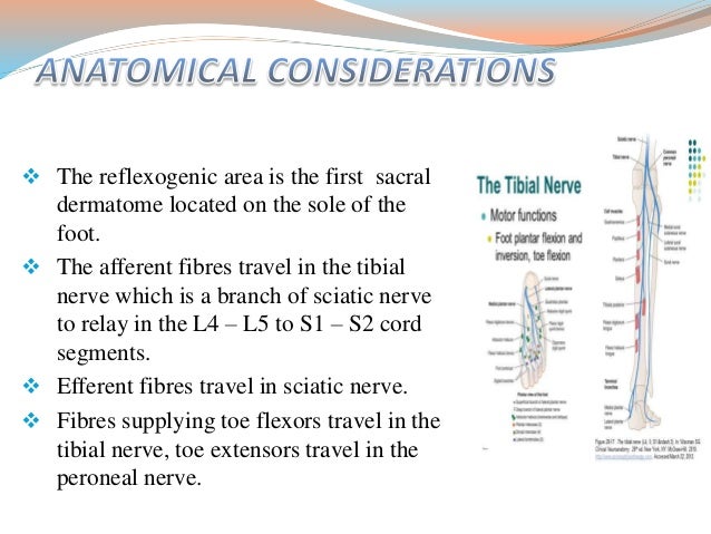 Neurological Signs In Medicine Neurological Signs In Medicine