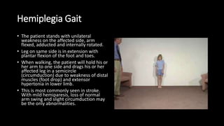 Hemiplegia Gait
• The patient stands with unilateral
weakness on the affected side, arm
flexed, adducted and internally rotated.
• Leg on same side is in extension with
plantar flexion of the foot and toes.
• When walking, the patient will hold his or
her arm to one side and drags his or her
affected leg in a semicircle
(circumduction) due to weakness of distal
muscles (foot drop) and extensor
hypertonia in lower limb.
• This is most commonly seen in stroke.
With mild hemiparesis, loss of normal
arm swing and slight circumduction may
be the only abnormalities.
 