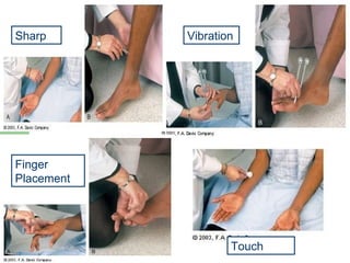 Sensory assessment pix Sharp Vibration Finger Placement Touch 