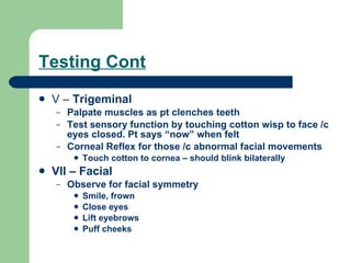 Testing Cont V –  Trigeminal Palpate muscles as pt clenches teeth Test sensory function by touching cotton wisp to face /c eyes closed. Pt says “now” when felt Corneal Reflex for those /c abnormal facial movements Touch cotton to cornea – should blink bilaterally VII – Facial  Observe for facial symmetry Smile, frown Close eyes Lift eyebrows Puff cheeks 