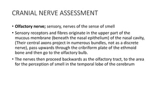 CRANIAL NERVE ASSESSMENT
• Olfactory nerve; sensory, nerves of the sense of smell
• Sensory receptors and fibres originate in the upper part of the
mucous membrane (beneath the nasal epithelium) of the nasal cavity,
(Their central axons project in numerous bundles, not as a discrete
nerve), pass upwards through the cribriform plate of the ethmoid
bone and then go to the olfactory bulb.
• The nerves then proceed backwards as the olfactory tract, to the area
for the perception of smell in the temporal lobe of the cerebrum
 