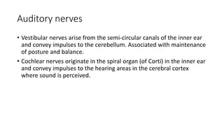 Auditory nerves
• Vestibular nerves arise from the semi-circular canals of the inner ear
and convey impulses to the cerebellum. Associated with maintenance
of posture and balance.
• Cochlear nerves originate in the spiral organ (of Corti) in the inner ear
and convey impulses to the hearing areas in the cerebral cortex
where sound is perceived.
 