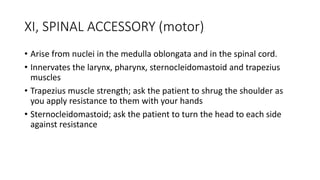 XI, SPINAL ACCESSORY (motor)
• Arise from nuclei in the medulla oblongata and in the spinal cord.
• Innervates the larynx, pharynx, sternocleidomastoid and trapezius
muscles
• Trapezius muscle strength; ask the patient to shrug the shoulder as
you apply resistance to them with your hands
• Sternocleidomastoid; ask the patient to turn the head to each side
against resistance
 