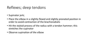 Reflexes; deep tendons
• Supinator jerk;
• Place the elbow in a slightly flexed and slightly pronated position in
order to avoid contraction of the brachioradialis
• Hit the styloid process of the radius with a tendon hammer; this
stretches the supinator
• Observe supination of the elbow
 