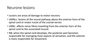 Neurone lesions
• Lesions are areas of damage to motor neurons
• UMNLs- lesions of the neural pathway above the anterior horn of the
spinal cord or motor nuclei of the cranial nerves
• LMNL- affects nerve fibres travelling from the anterior horn of the
spinal cord to the associated muscle
• NB; when the spinal cord develops, the posterior part becomes
responsible for managing most aspects of sensation, and the anterior
is more responsible for movement.
 