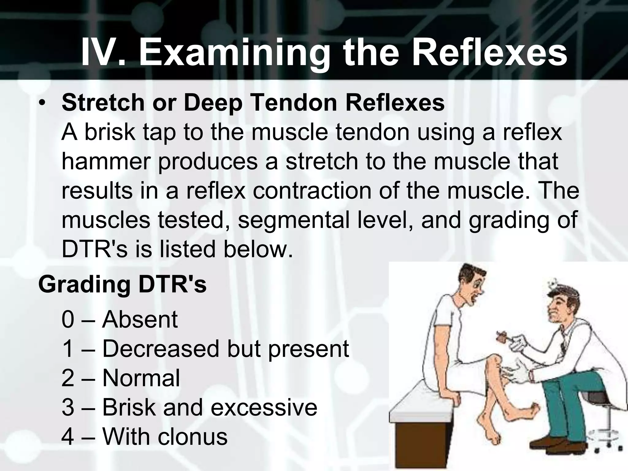 Body parts and relationships Motor Ability Ask client to perform a skilled actSuccessful performance requires the ability to understand the activity desired and normal motor strength