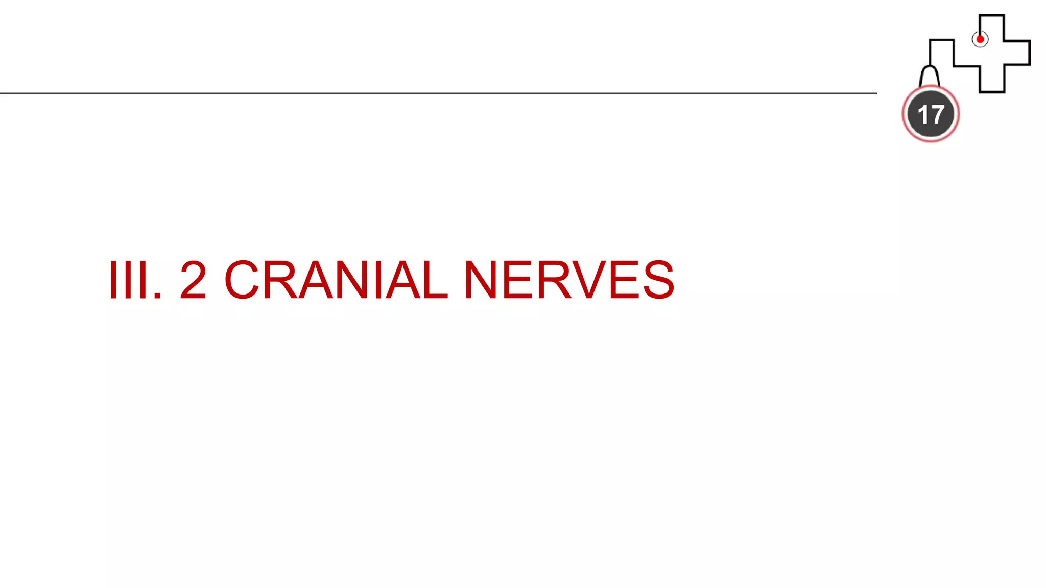 III. 2 CRANIAL NERVES
17
 