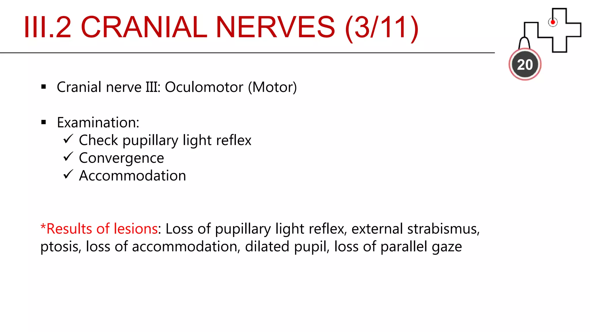 III.2 CRANIAL NERVES (3/11)
20
 Cranial nerve III: Oculomotor (Motor)
 Examination:
 Check pupillary light reflex
 Convergence
 Accommodation
*Results of lesions: Loss of pupillary light reflex, external strabismus,
ptosis, loss of accommodation, dilated pupil, loss of parallel gaze
 