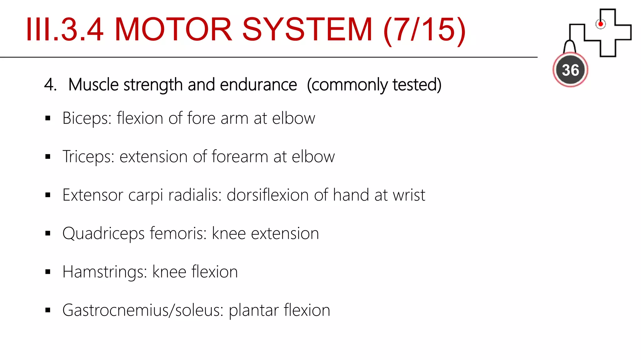 III.3.4 MOTOR SYSTEM (7/15)
36
4. Muscle strength and endurance (commonly tested)
 Biceps: flexion of fore arm at elbow
 Triceps: extension of forearm at elbow
 Extensor carpi radialis: dorsiflexion of hand at wrist
 Quadriceps femoris: knee extension
 Hamstrings: knee flexion
 Gastrocnemius/soleus: plantar flexion
 