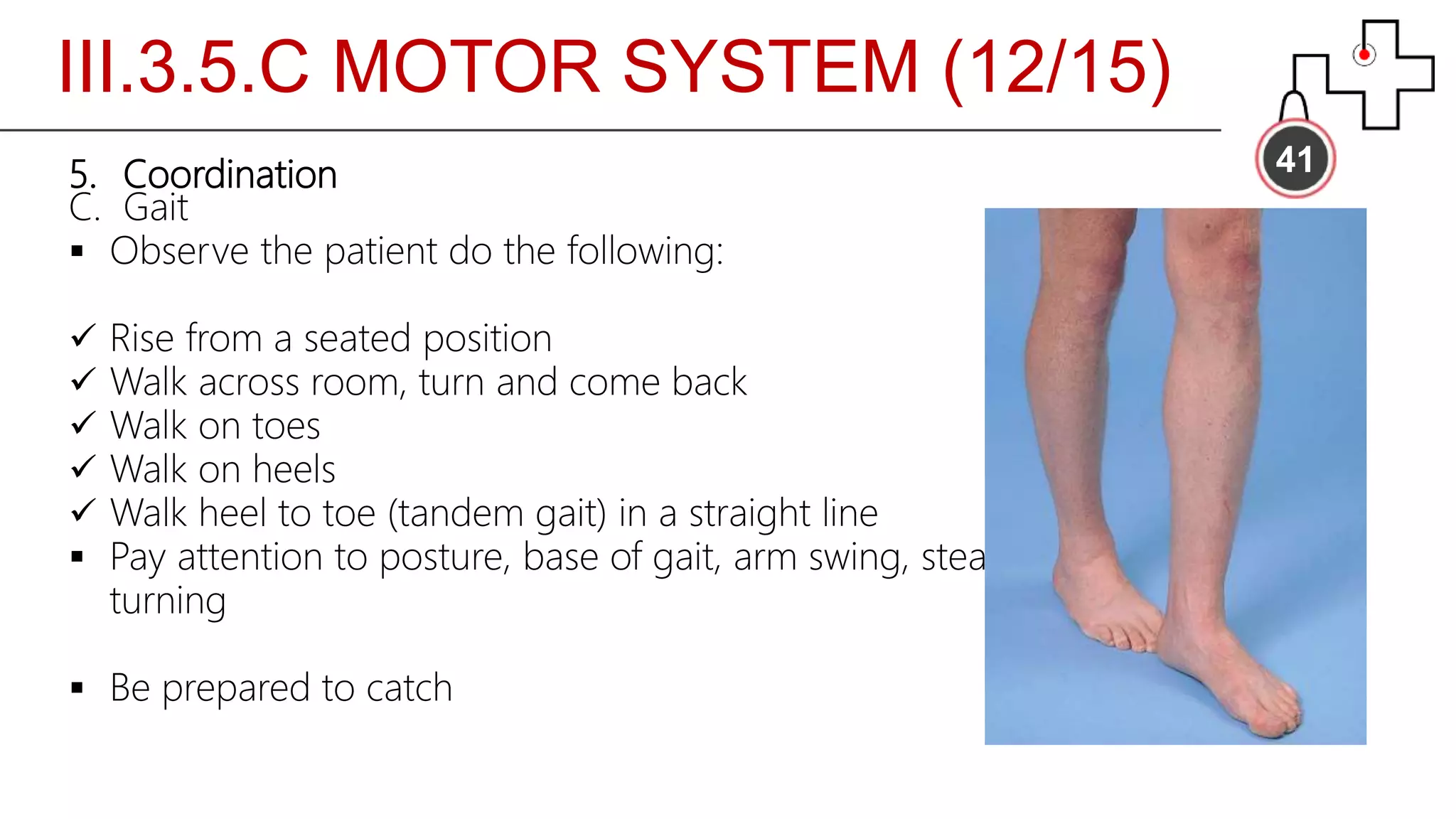 III.3.5.C MOTOR SYSTEM (12/15)
415. Coordination
C. Gait
 Observe the patient do the following:
 Rise from a seated position
 Walk across room, turn and come back
 Walk on toes
 Walk on heels
 Walk heel to toe (tandem gait) in a straight line
 Pay attention to posture, base of gait, arm swing, steadiness,
turning
 Be prepared to catch
 