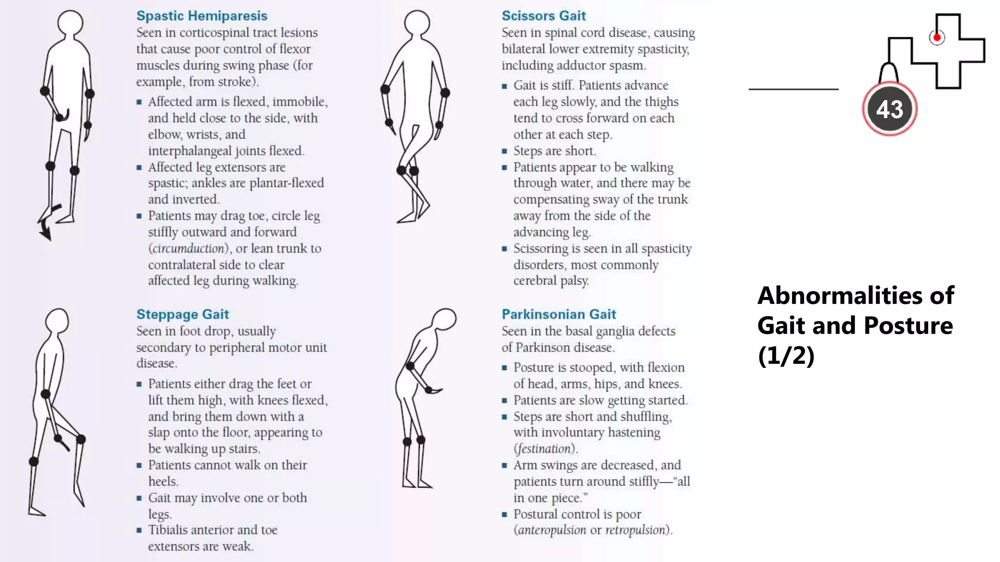 43
Abnormalities of
Gait and Posture
(1/2)
 
