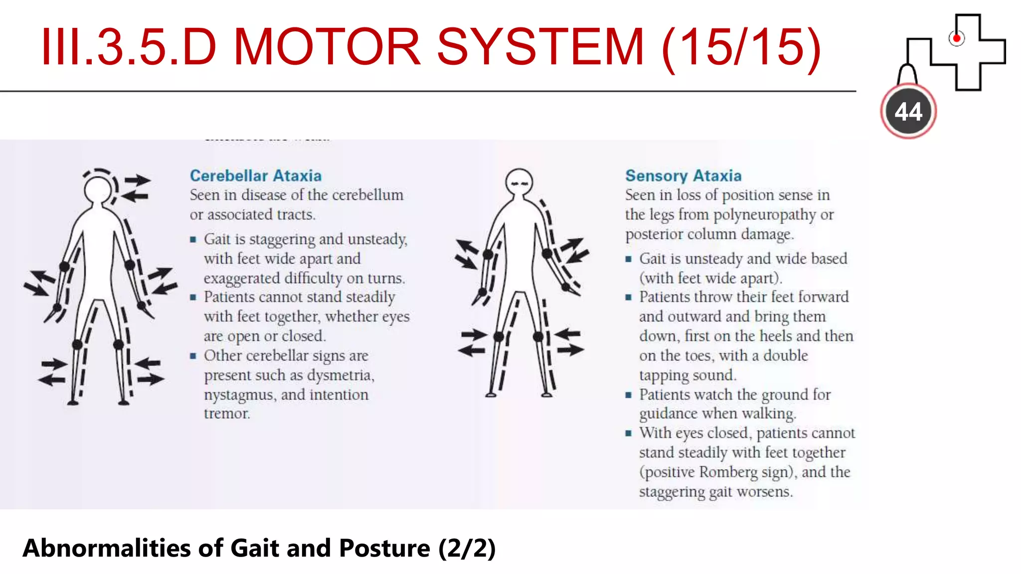 44
Abnormalities of Gait and Posture (2/2)
III.3.5.D MOTOR SYSTEM (15/15)
 