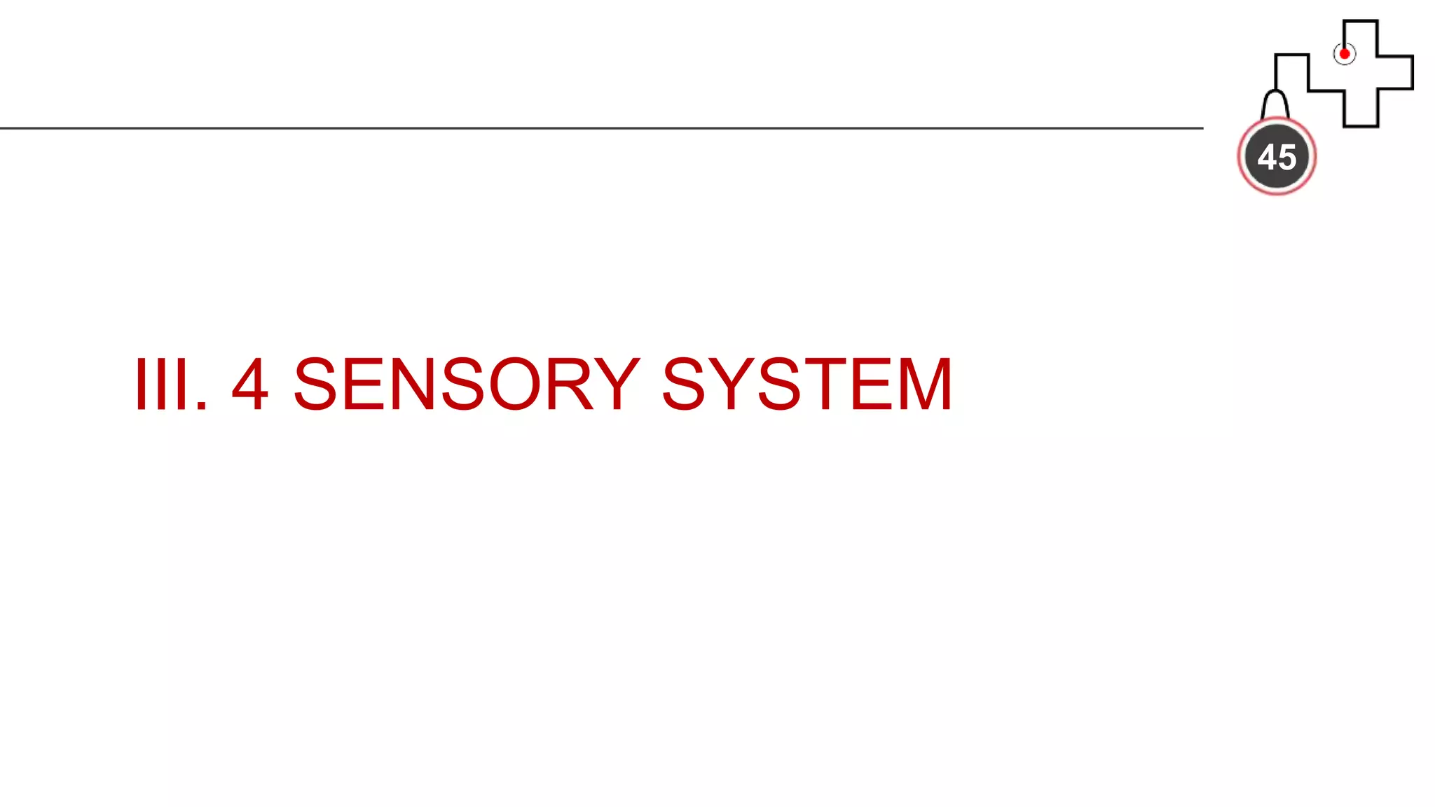 III. 4 SENSORY SYSTEM
45
 