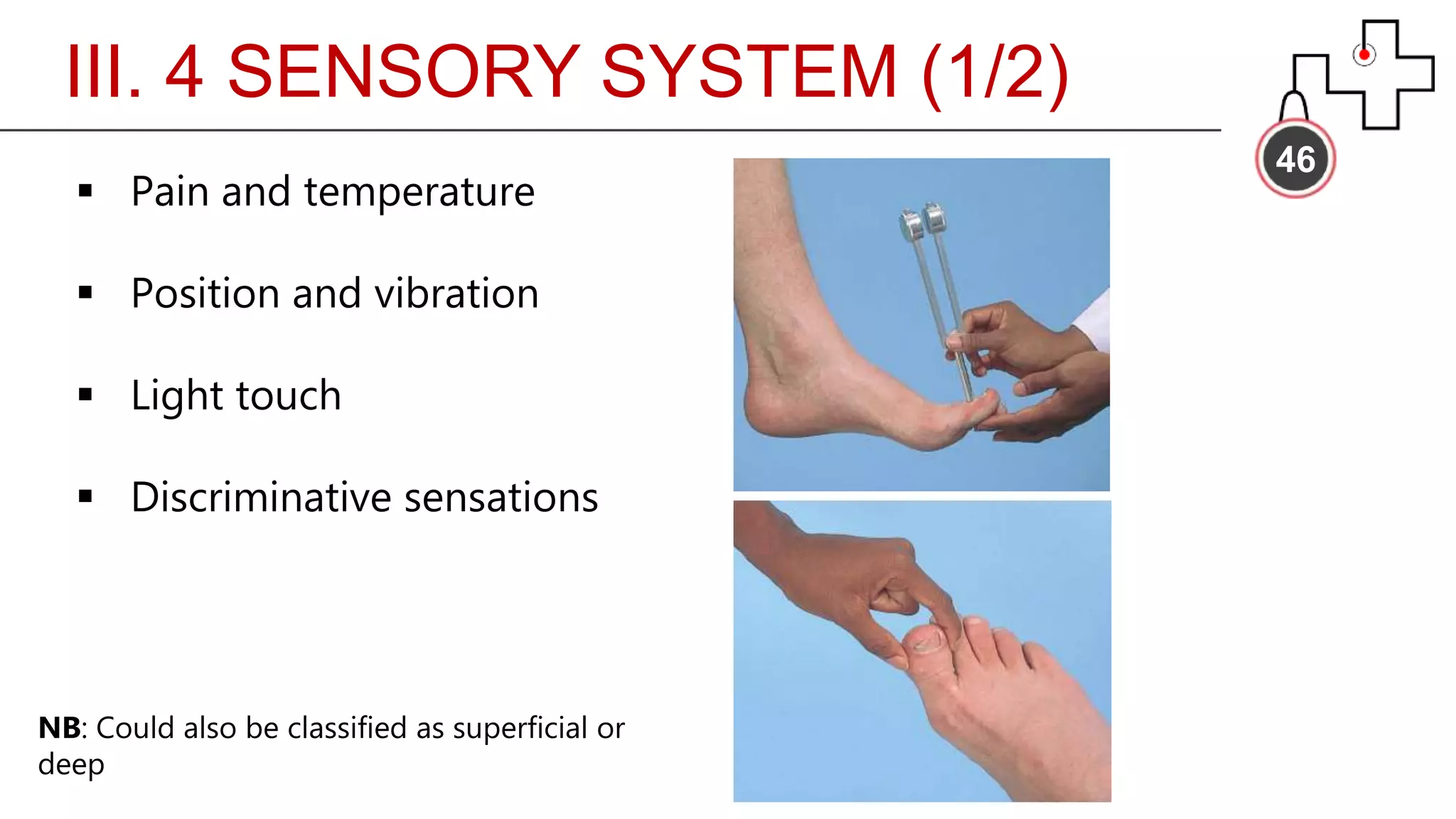III. 4 SENSORY SYSTEM (1/2)
46
 Pain and temperature
 Position and vibration
 Light touch
 Discriminative sensations
NB: Could also be classified as superficial or
deep
 