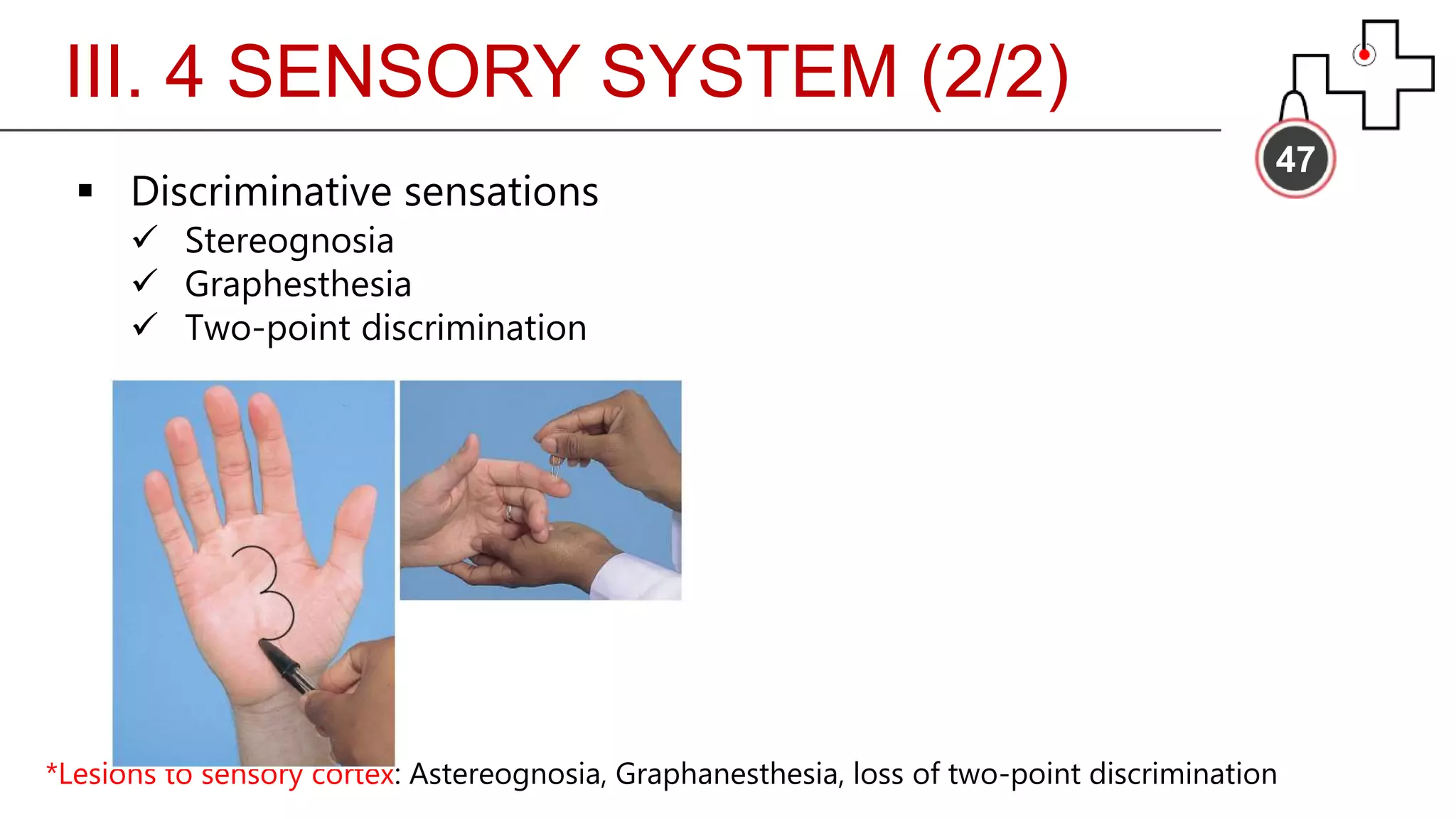 III. 4 SENSORY SYSTEM (2/2)
47
 Discriminative sensations
 Stereognosia
 Graphesthesia
 Two-point discrimination
*Lesions to sensory cortex: Astereognosia, Graphanesthesia, loss of two-point discrimination
 