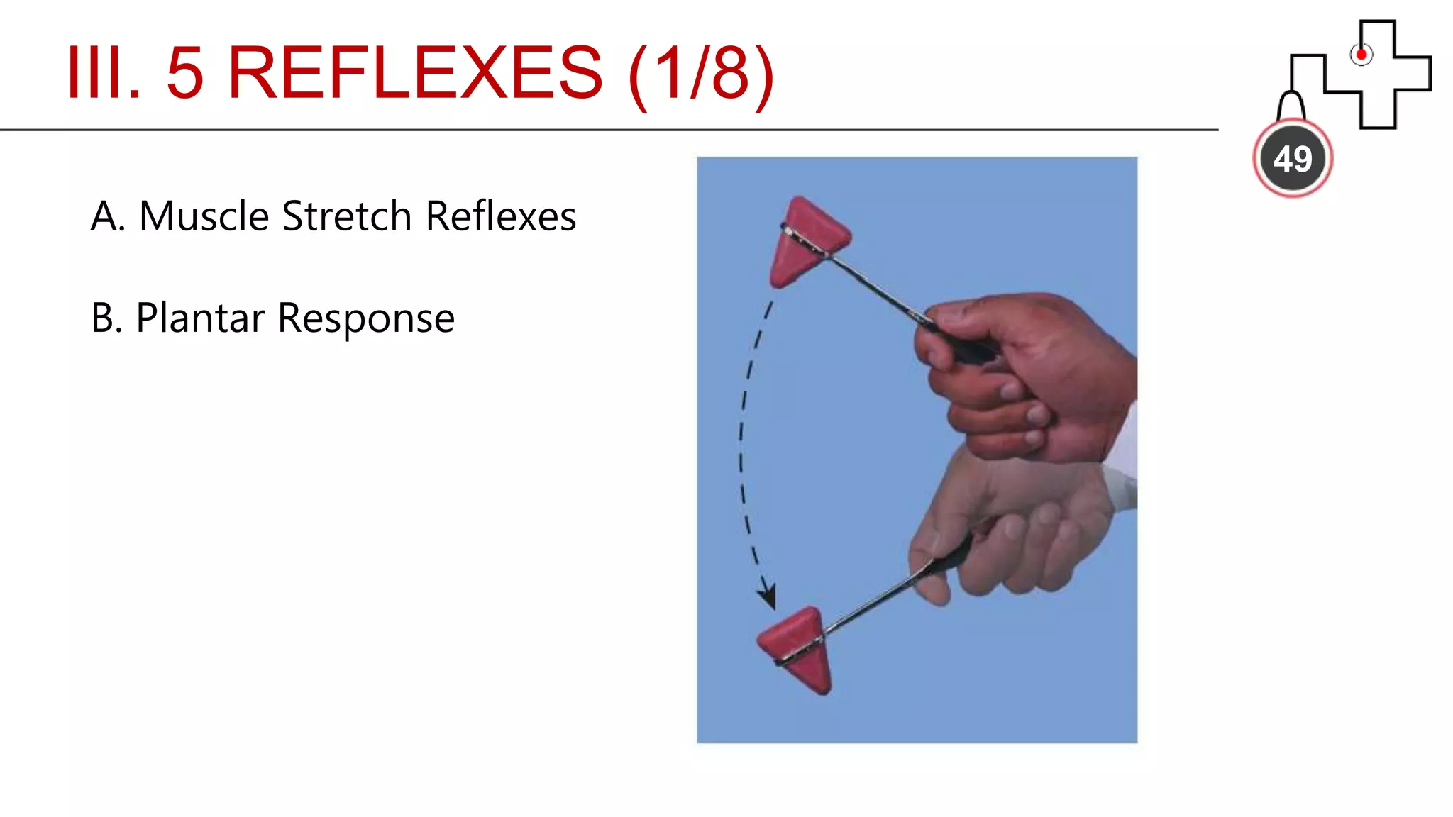 III. 5 REFLEXES (1/8)
49
A. Muscle Stretch Reflexes
B. Plantar Response
 