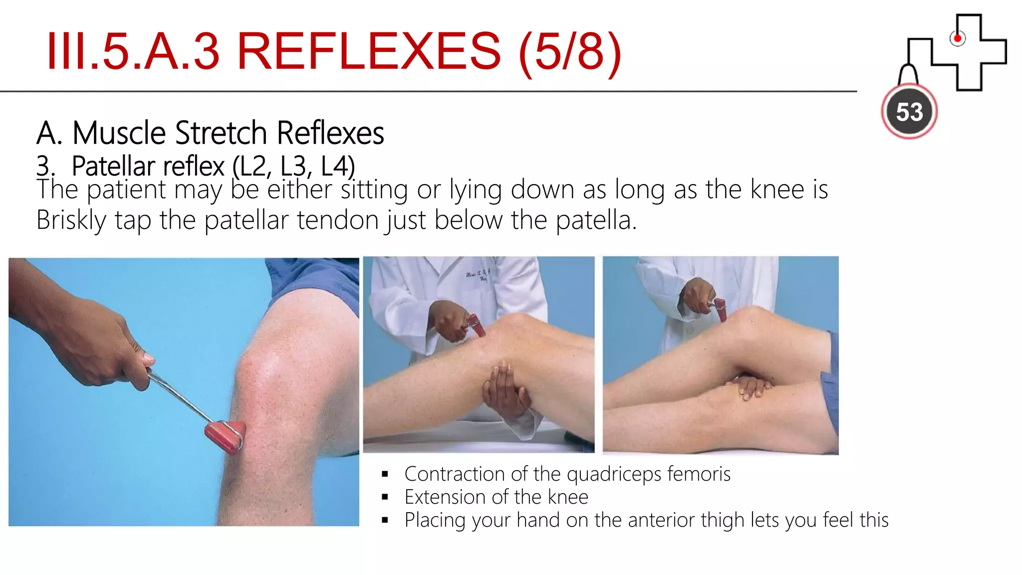 III.5.A.3 REFLEXES (5/8)
53
A. Muscle Stretch Reflexes
3. Patellar reflex (L2, L3, L4)
The patient may be either sitting or lying down as long as the knee is
Briskly tap the patellar tendon just below the patella.
 Contraction of the quadriceps femoris
 Extension of the knee
 Placing your hand on the anterior thigh lets you feel this
 