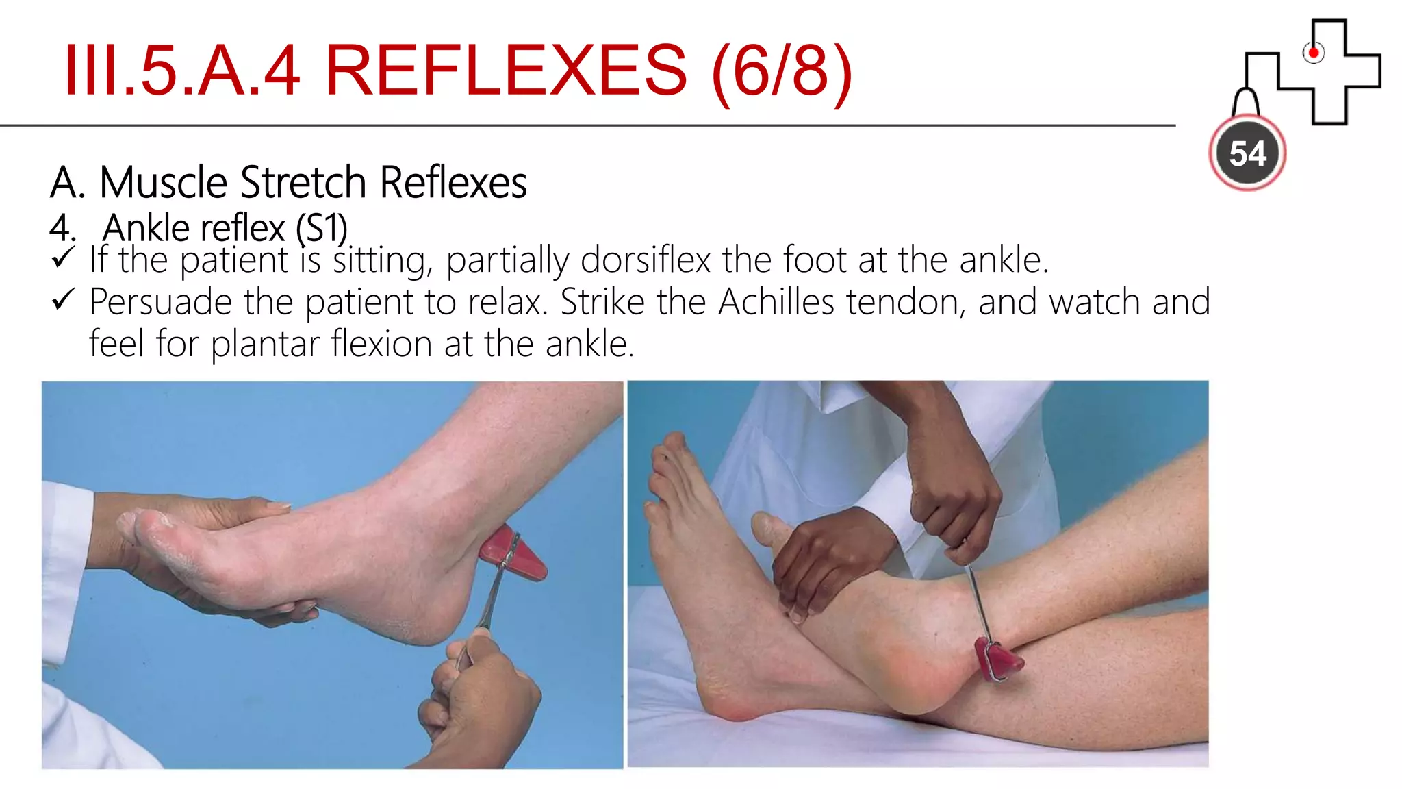 III.5.A.4 REFLEXES (6/8)
54
A. Muscle Stretch Reflexes
4. Ankle reflex (S1)
 If the patient is sitting, partially dorsiflex the foot at the ankle.
 Persuade the patient to relax. Strike the Achilles tendon, and watch and
feel for plantar flexion at the ankle.
 