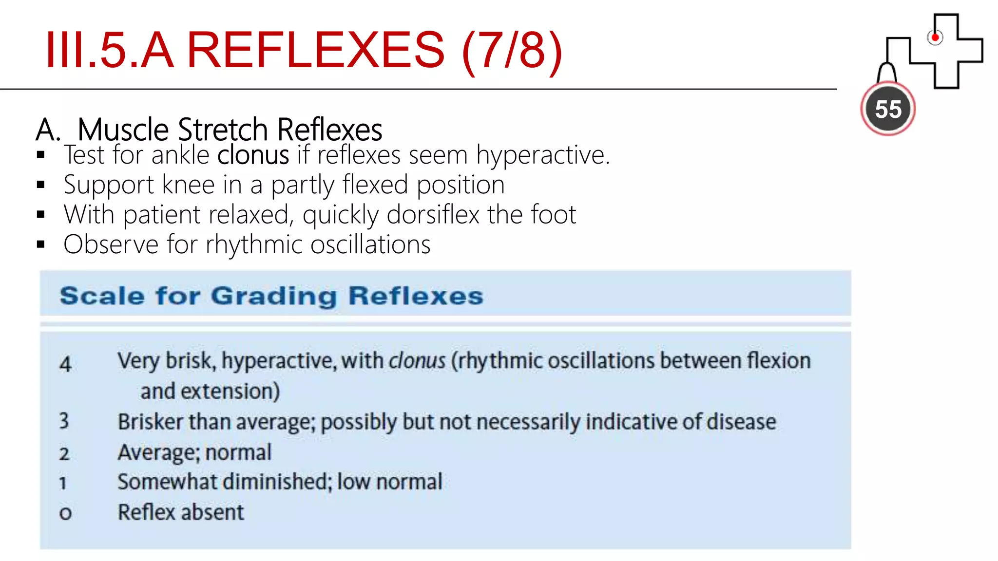 III.5.A REFLEXES (7/8)
55
A. Muscle Stretch Reflexes
 Test for ankle clonus if reflexes seem hyperactive.
 Support knee in a partly flexed position
 With patient relaxed, quickly dorsiflex the foot
 Observe for rhythmic oscillations
 