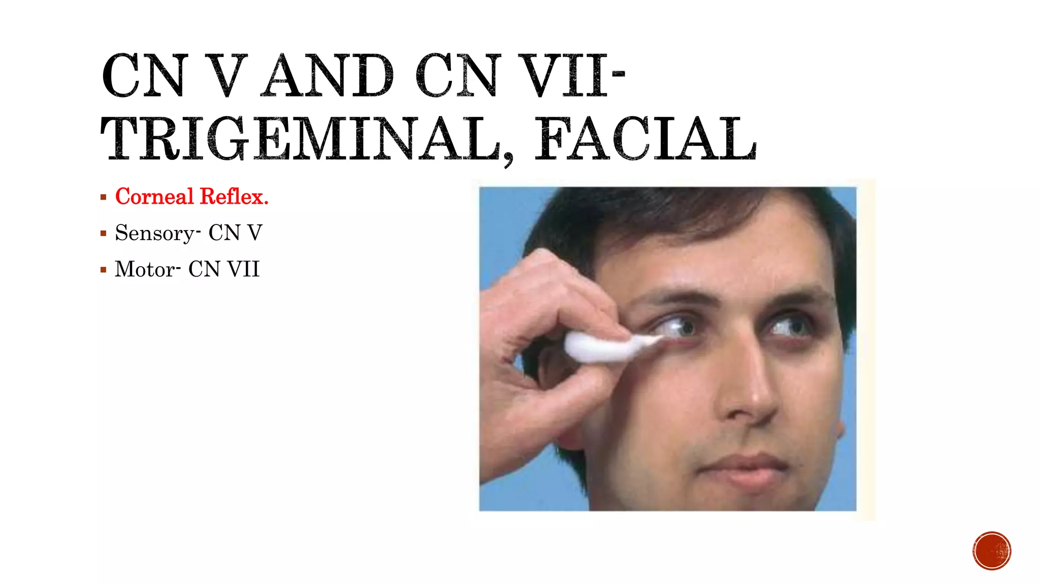  Corneal Reflex.
 Sensory- CN V
 Motor- CN VII
 