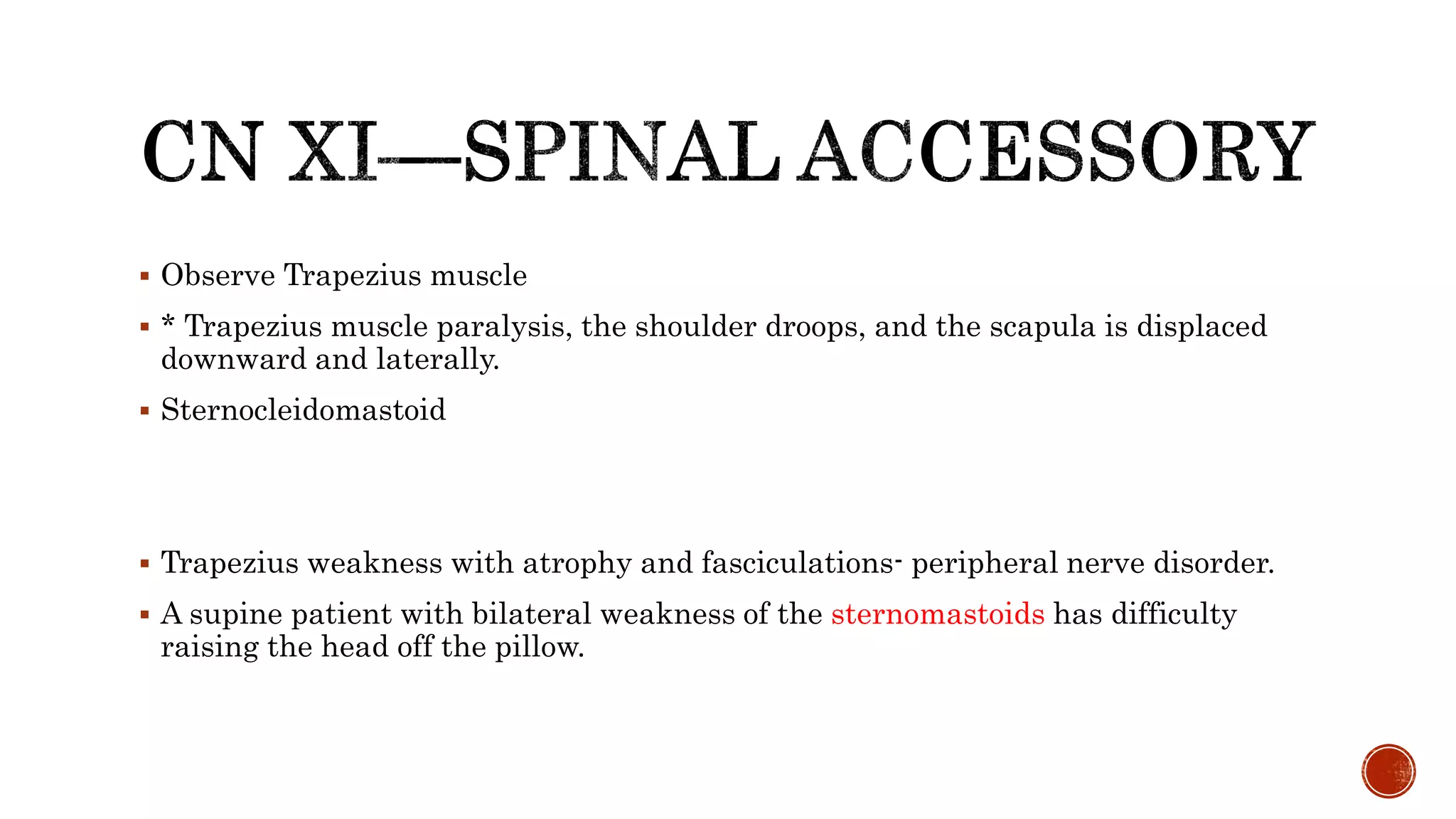  Observe Trapezius muscle
 * Trapezius muscle paralysis, the shoulder droops, and the scapula is displaced
downward and laterally.
 Sternocleidomastoid
 Trapezius weakness with atrophy and fasciculations- peripheral nerve disorder.
 A supine patient with bilateral weakness of the sternomastoids has difficulty
raising the head off the pillow.
 