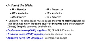 Neurologic examination TZ BEST.pptx