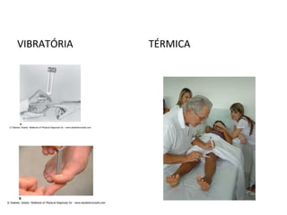 VIBRATÓRIA TÉRMICA
 
