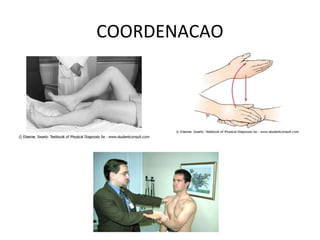 COORDENACAO
 