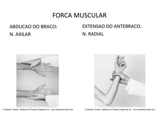 FORCA MUSCULAR
ABDUCAO DO BRACO:
N. AXILAR
EXTENSAO DO ANTEBRACO:
N. RADIAL
 