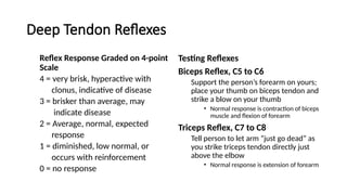 Neurologic System. comprehensive head to toes assessment | PPTX