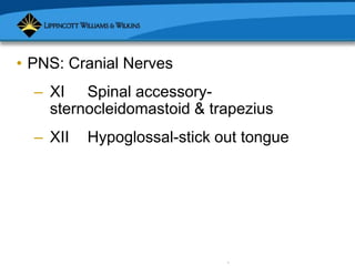 Copyright © 2007 Lippincott Williams & Wilkins.
• PNS: Cranial Nerves
– XI Spinal accessory-
sternocleidomastoid & trapezius
– XII Hypoglossal-stick out tongue
 