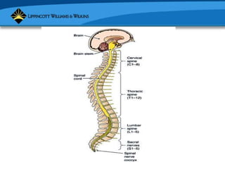 Copyright © 2007 Lippincott Williams & Wilkins.
 